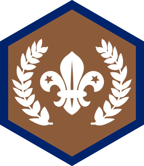 Chief Scout's Bronze Award