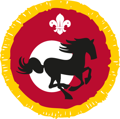 Equestrian Activity Badge