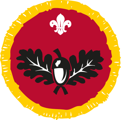 Naturalist Activity Badge