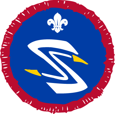 Air Spotter Activity Badge