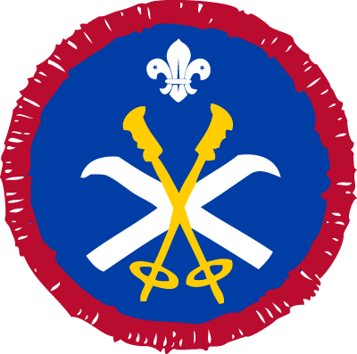 Current UK Scouting Scout Proficiency/Activity Badge Digital Citizen 4 