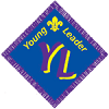The Young Leader Scheme Badge