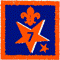 Participation Badge 7
