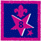 Participation Badge 8