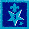 Participation Badge 9